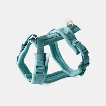 Harnais en Y pour chien - Harnais Furlou - Comfort blue - Confort bleu - le Maître des Lieux