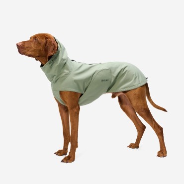 Imperméable pour chien Cloud7 Dublin 2.0 – Coupe Regular - Dusty Mint - le Maître des Lieux