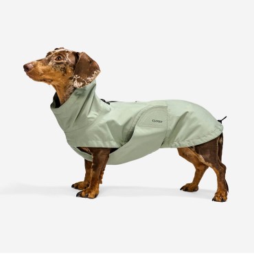 Imperméable pour chien Cloud7 Dublin 2.0 – Coupe Teckel / silhouette longiligne - Dusty Mint - le Maître des Lieux