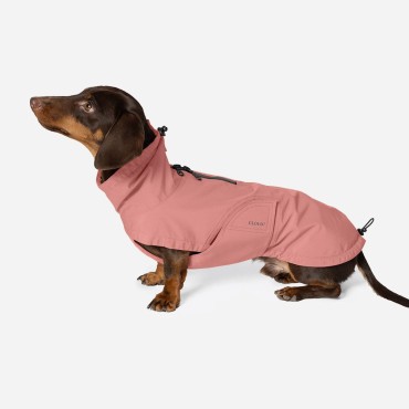Imperméable pour chien Cloud7 Dublin 2.0 – Coupe Teckel / silhouette longiligne - Faded Rose - le Maître des Lieux