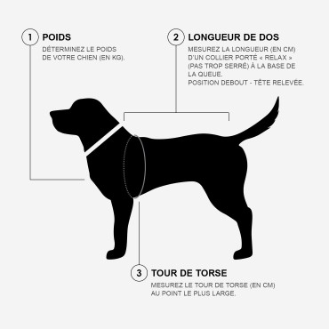 Imperméable pour chien Cloud7 Dublin 2.0 – Coupe Regular - Dusty Mint - le Maître des Lieux