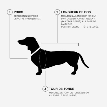 Imperméable pour chien Cloud7 Dublin 2.0 – Coupe Teckel / silhouette longiligne - Faded Rose - le Maître des Lieux