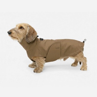 Imperméable pour chien Cloud7 Dublin 2.0 – Coupe Teckel / silhouette longiligne - Sandy Brown - le Maître des Lieux
