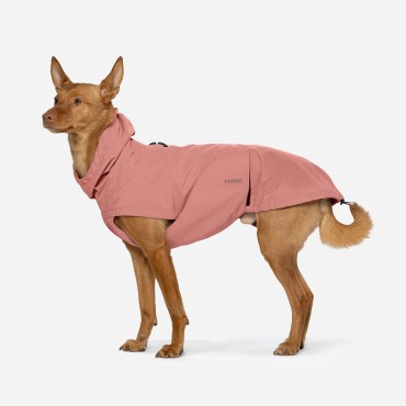 Imperméable pour chien Cloud7 Dublin 2.0 – Coupe Regular - Faded Rose - le Maître des Lieux