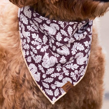 Bandana pour chien Squirrel - The Foggy Dog - le Maître des Lieux