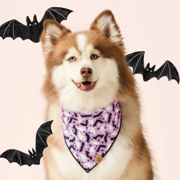 Bandana réversible et phosphorescent pour chien Spooky Season - The Foggy Dog - le Maître des Lieux