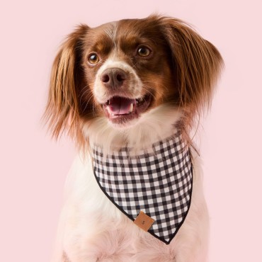 Bandana réversible et phosphorescent pour chien Spooky Season - The Foggy Dog - le Maître des Lieux