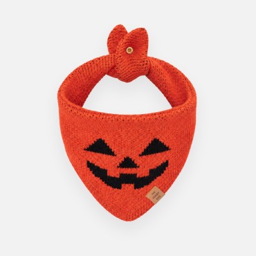 Bandana d’Halloween en tricot pour chien - The Foggy Dog Jack-o’-Lantern - le Maître des Lieux