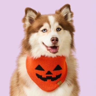 Bandana d’Halloween en tricot pour chien - The Foggy Dog Jack-o’-Lantern - le Maître des Lieux