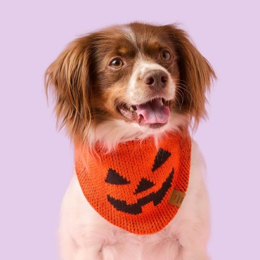 Bandana d’Halloween en tricot pour chien - The Foggy Dog Jack-o’-Lantern - le Maître des Lieux