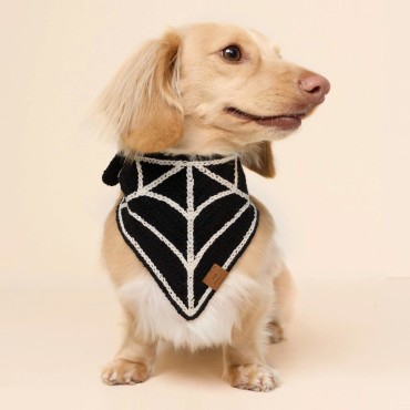 Bandana d’Halloween en crochet pour chien - The Foggy Dog Spiderweb  - le Maître des Lieux