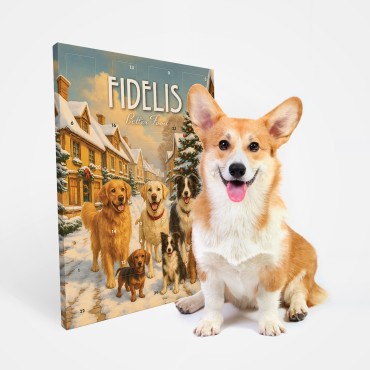 Calendrier de l’Avent XXL pour chien - Fidelis - Le Maître des Lieux