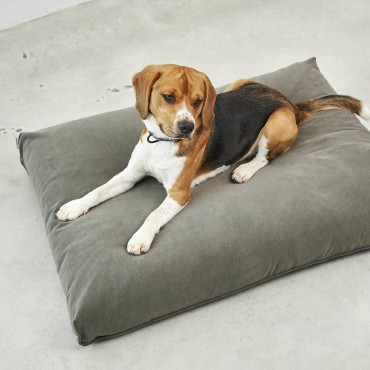 Coussin à mémoire de forme - MiaCara Comodo - sauge - le Maître des Lieux