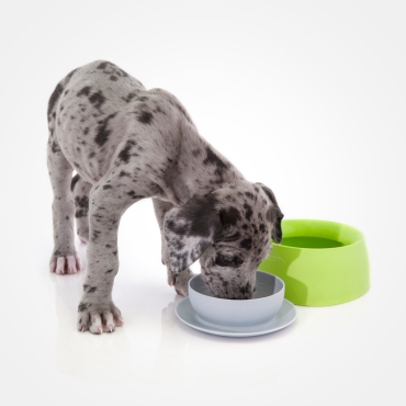 Sleepypod Yummy Travel Bowl Citron