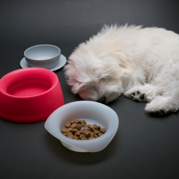 Sleepypod Yummy Travel Bowl Framboise