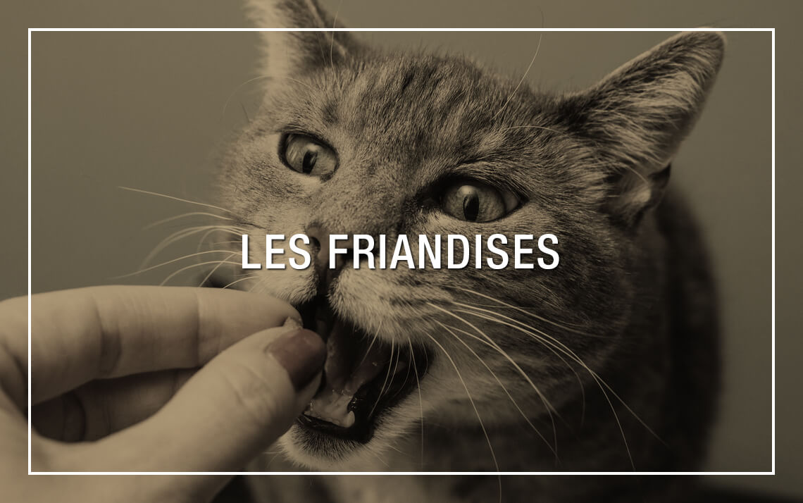 Friandises