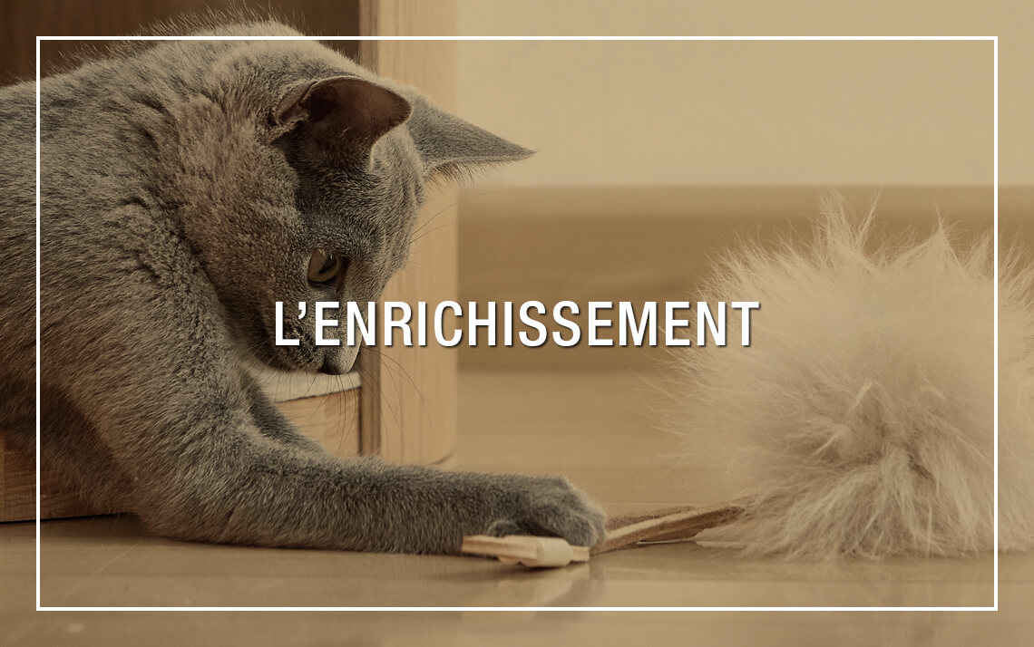 Enrichissement