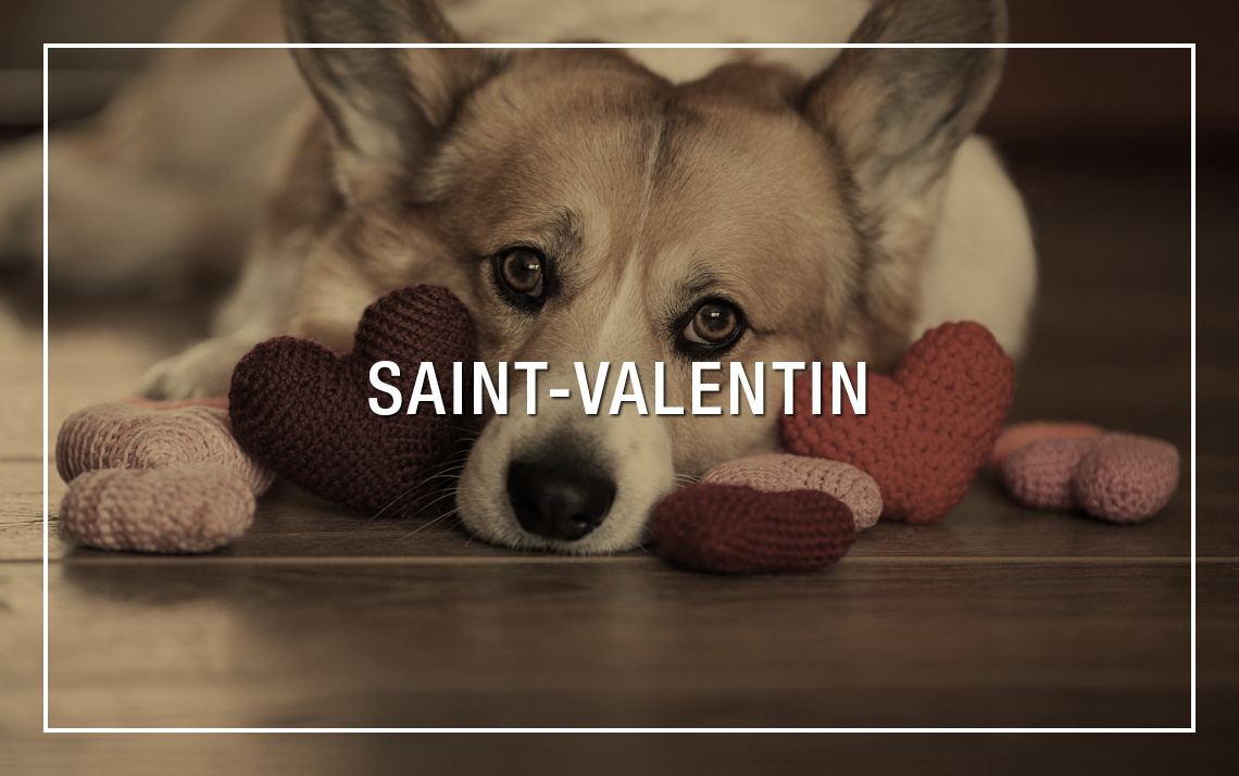 Saint-Valentin