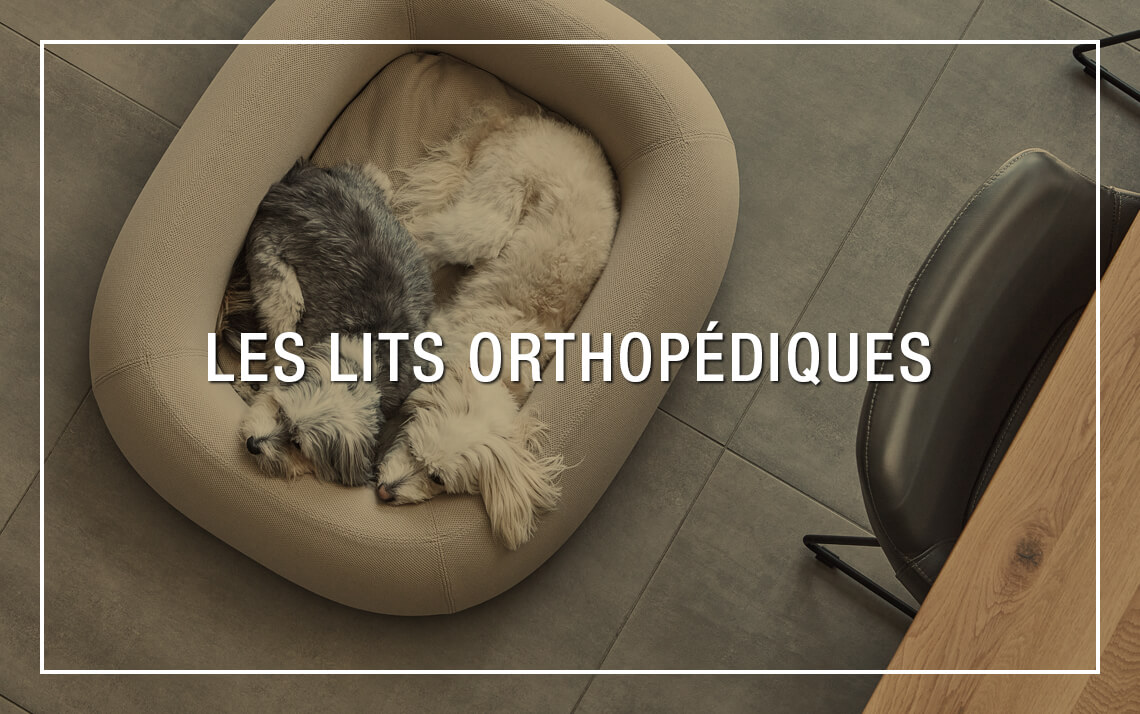  Lits orthopédiques