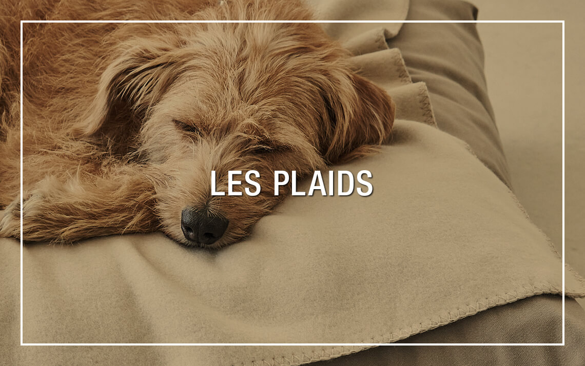 Plaids