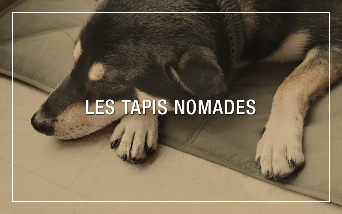 Tapis nomades