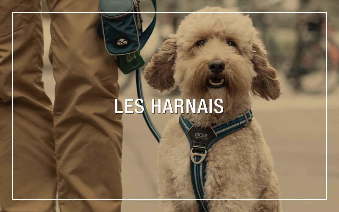 Harnais