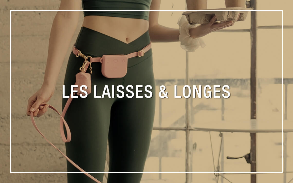  Laisses & Longes