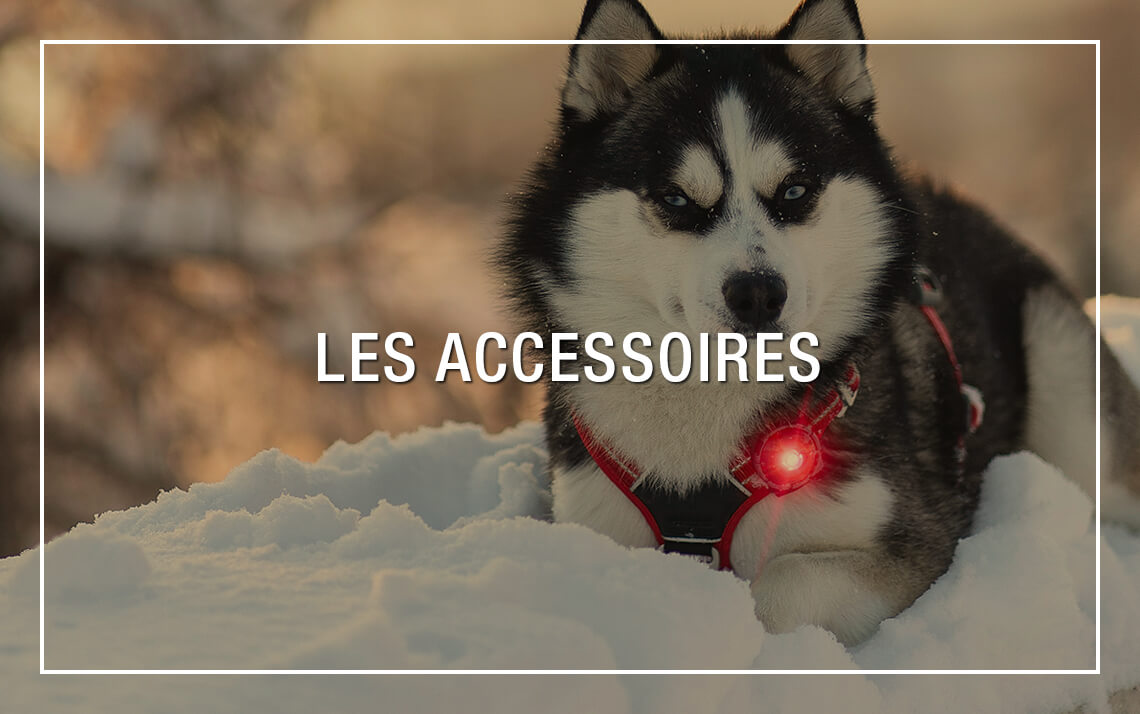 Accessoires