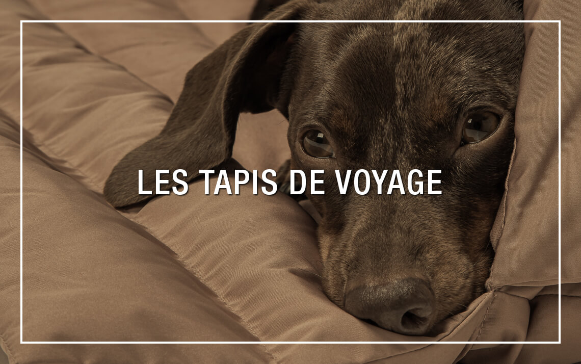  Tapis de voyage