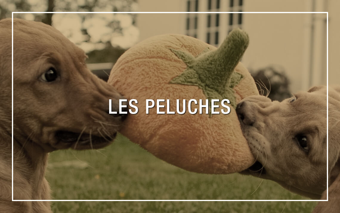 Peluches