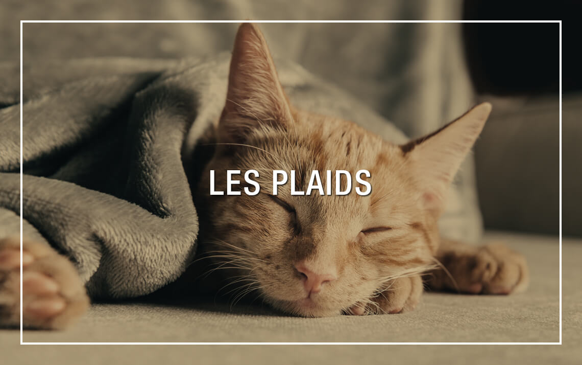 Plaids