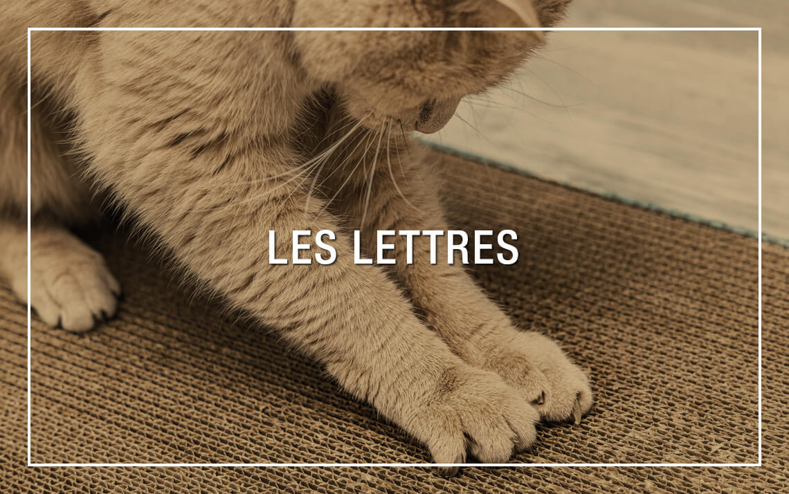 Lettres