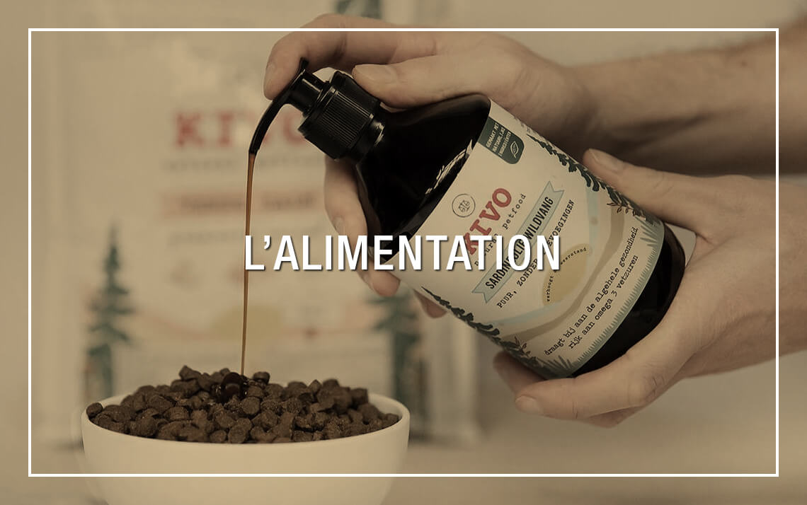 Alimentation